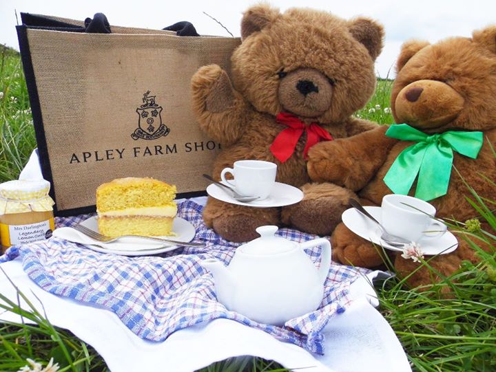 teddy bears picnic