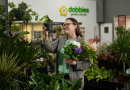 Houseplants is the focus for January’s Grow How sessions at Dobbies’ Garden Centres © Stewart Attwood