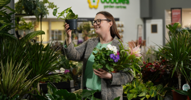 Houseplants is the focus for January’s Grow How sessions at Dobbies’ Garden Centres © Stewart Attwood