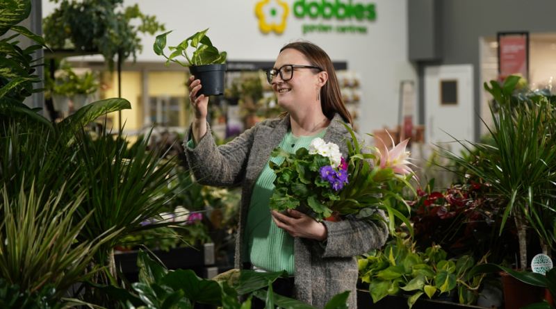 Houseplants is the focus for January’s Grow How sessions at Dobbies’ Garden Centres © Stewart Attwood