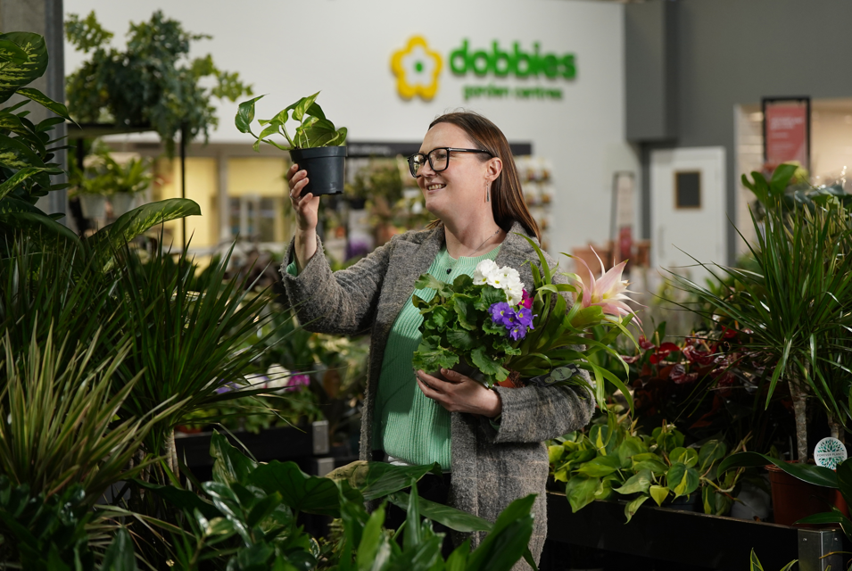 Houseplants is the focus for January’s Grow How sessions at Dobbies’ Garden Centres © Stewart Attwood